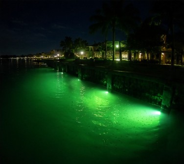 Waterfront home seawall in Southwest Florida glowing green from underwater lights after dark